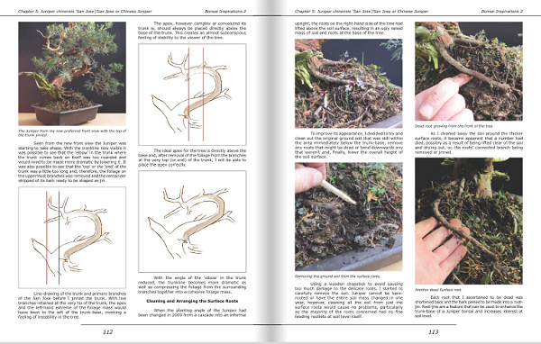 bonsai book