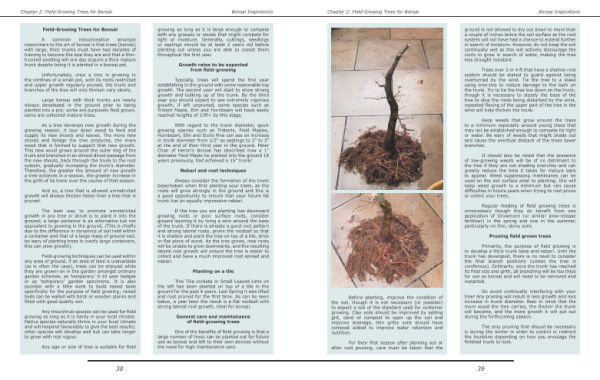 bonsai book