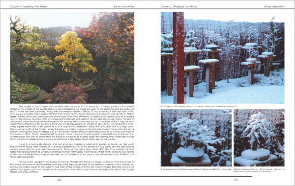 bonsai book