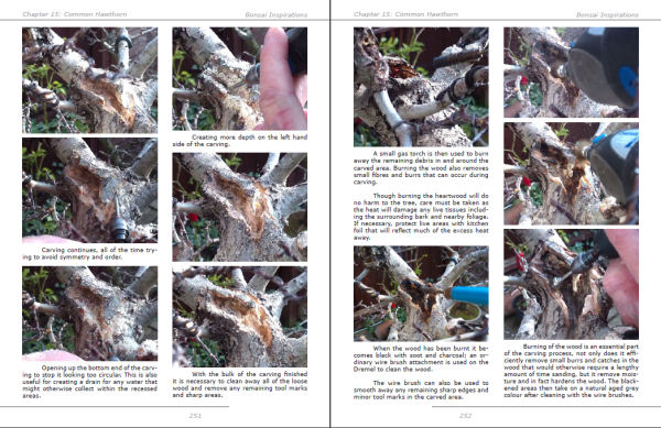 bonsai book