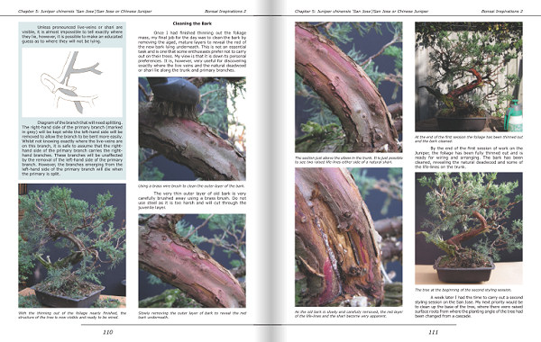 bonsai book