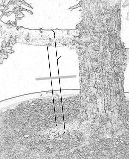 guy wire tourniquet