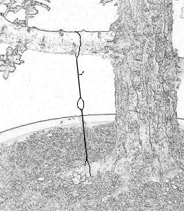 guy wire tourniquet