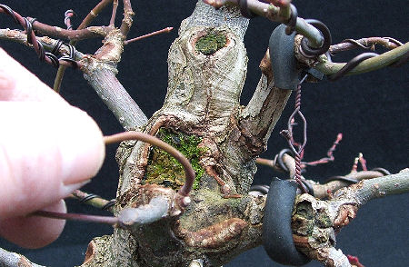Notching Branches