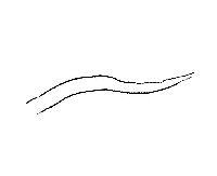Notching Branches