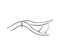 Notching Branches