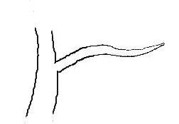 Notching Branches