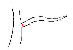 Notching Branches