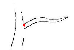 Notching Branches