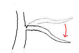 Notching Branches