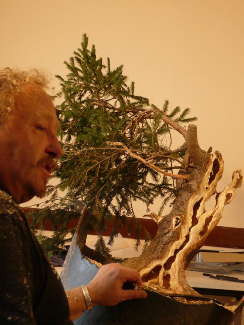 astrophytum Astrophytum myriostigma cv. ONZUKA cactus – The Exotic Seed Emporium main image 1