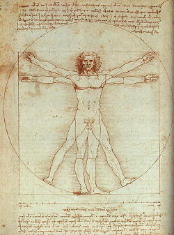 Vitruvian Man Bonsai