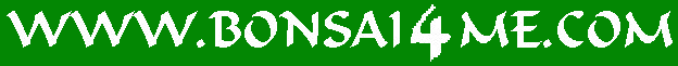 bonsai4me